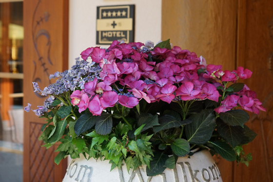 Romantik Hotel Schweizerhof Grindelwald - photo 14