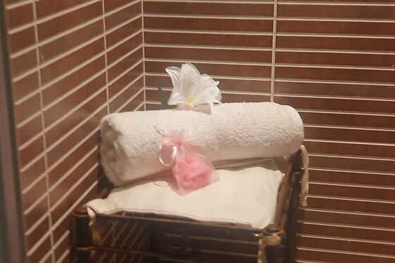 BLISS & COO - photo 1