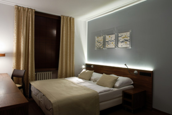 Hotel Carol - photo 9