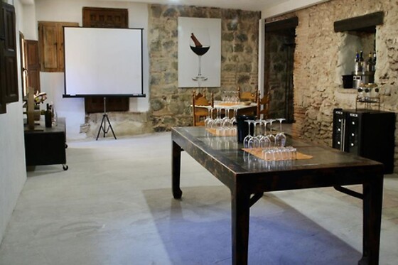 CENT PIQUES – BODEGAS VINADOS - photo 3