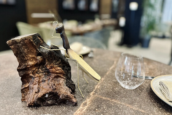 RESTAURANTE HANNIBAL - photo 10