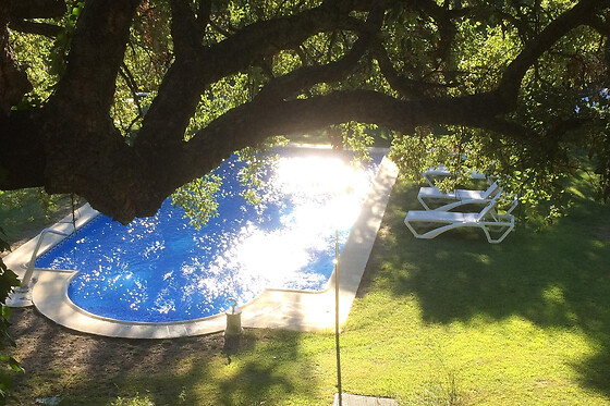 FINCA LOS CANCHALES - photo 17