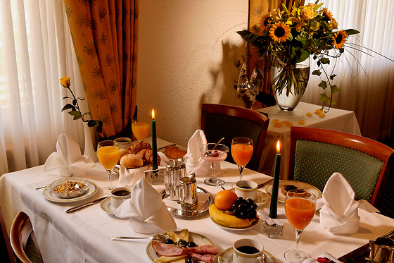 Chalet-Hôtel Bristol, The Originals Relais - photo 5