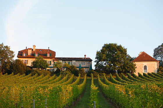 Domaine de Châteauvieux**** - photo 6