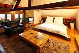 Domaine de Châteauvieux****
