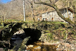 CABAÑA DEL RIO