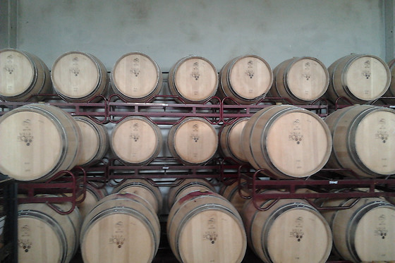 BODEGA VILLA D'ORTA - photo 0