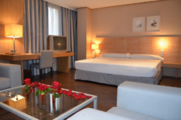 EUROHOTEL CASTELLON