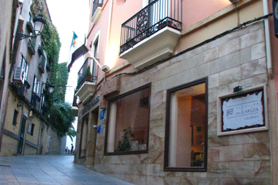HOTEL DON CARLOS CACERES - photo 2