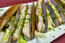 NOVA LÚA  CHEA
