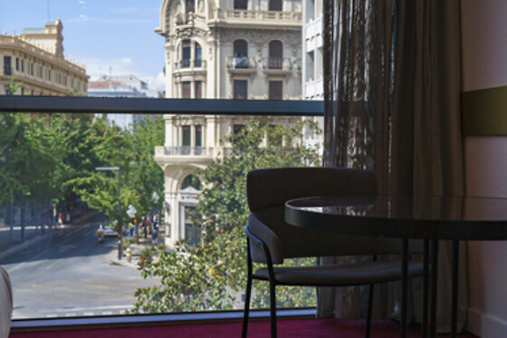 HOTEL COLON CENTRO - photo 9