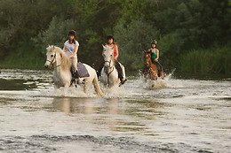 CENTRO ECUESTRE LOS CABALLOS DE LA RIBERA
