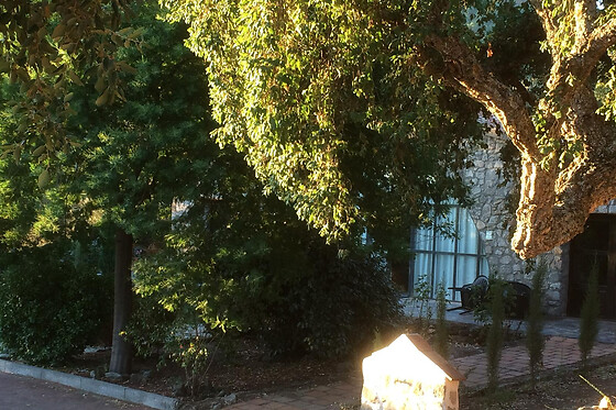 FINCA LOS CANCHALES - photo 1