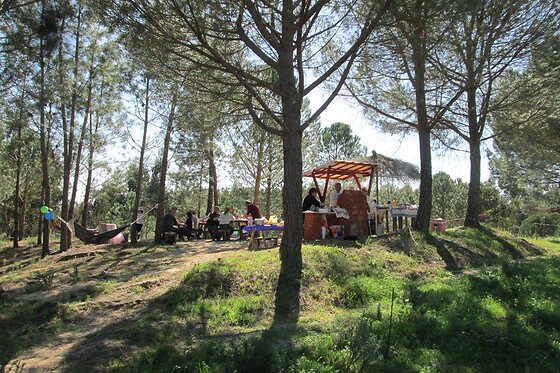A Apicultora na Terra das Abelhas - photo 10