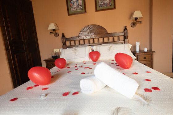 HOTEL LA CASA GRANDE - photo 18