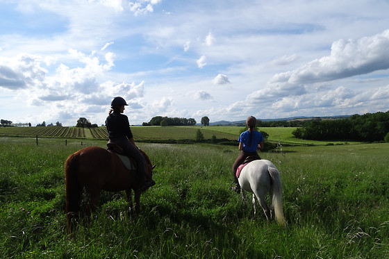 Un Poney, une histoire - photo 6