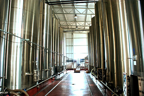 BODEGA LENEUS - photo 0