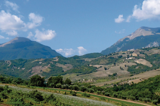 Agriturismo il Vecchio Carro - photo 6