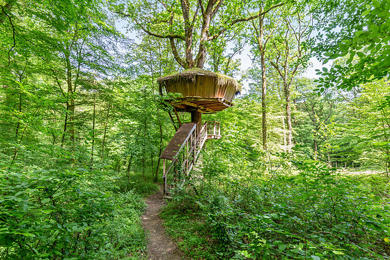L'Arbre à Cabane - photo 10