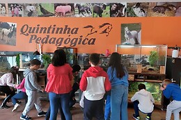 QUINTINHA PEDAGÓGICA DE CANELAS | CENTRO EQUESTRE COUTO PEREIRA