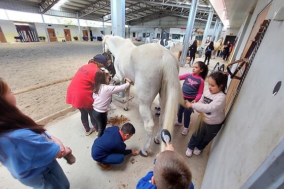 QUINTINHA PEDAGÓGICA DE CANELAS | CENTRO EQUESTRE COUTO PEREIRA - photo 7