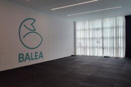 BALEA AKROYOGA