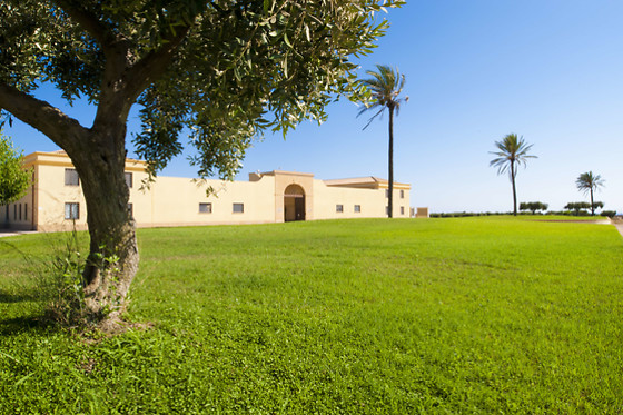 Tenuta Gorghi Tondi - photo 3