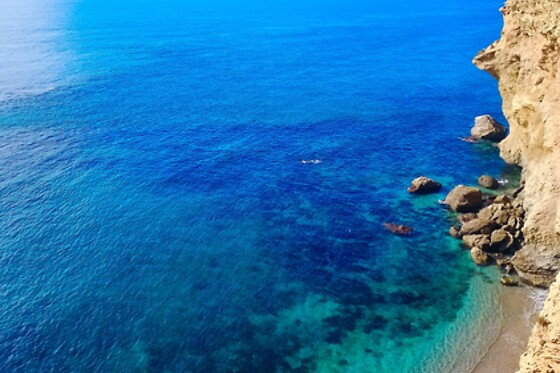 TROPICAL DREAMS MOTRIL - photo 10