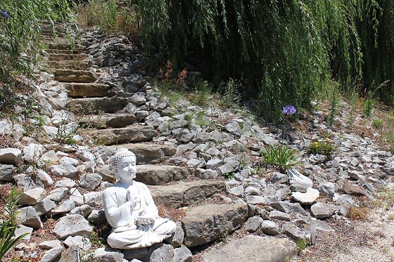 Quinta Japonesa - photo 33