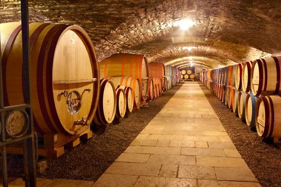 Domaine Famille Picard - photo 0