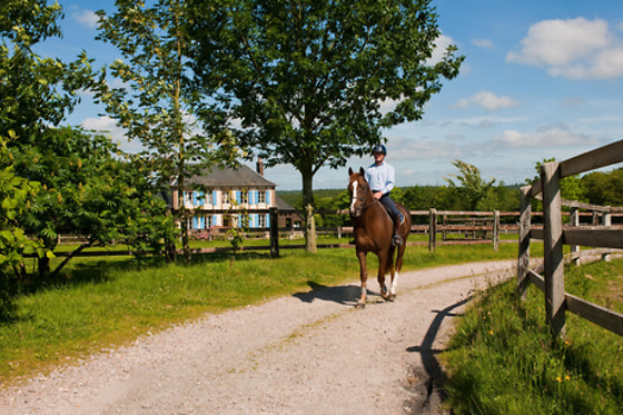 Haras du Loup - photo 6