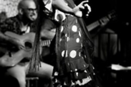 TABLAO FLAMENCO EL TORO Y LA LUNA VALENCIA
