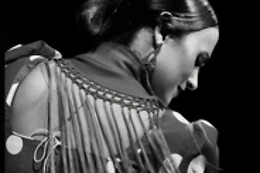 TABLAO FLAMENCO EL TORO Y LA LUNA VALENCIA