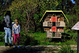 JARDIN BOTANICO DE SOLLER