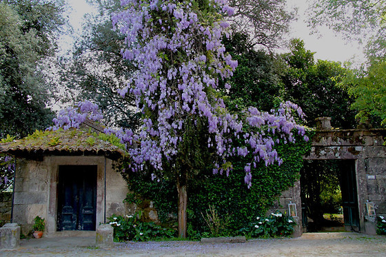 QUINTA DE SÃO VICENTE - photo 1