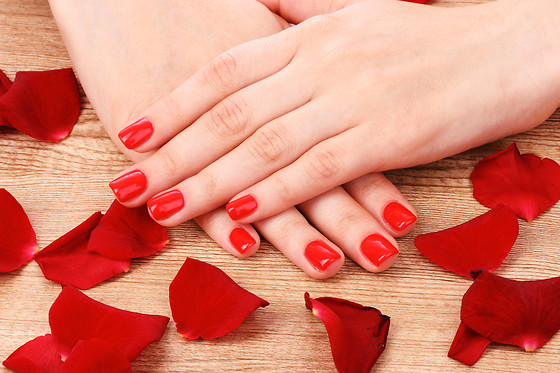 Allegra Beauty Spa - photo 10