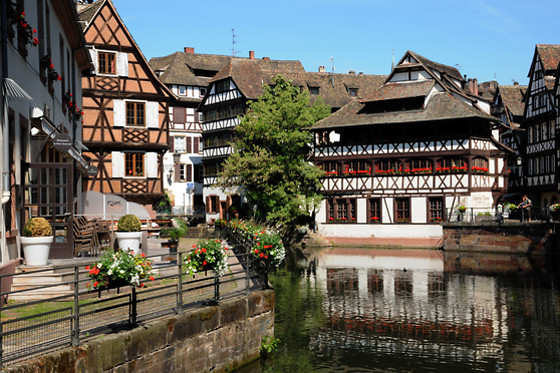 Sightrunning Alsace - photo 1