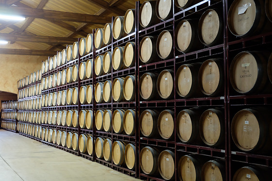 BODEGAS VEGA DEL CASTILLO - photo 2