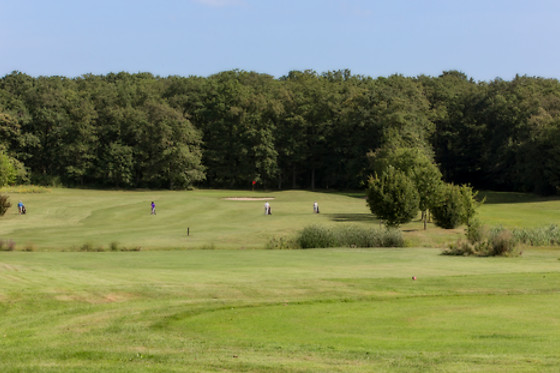 Ugolf Metz - photo 7