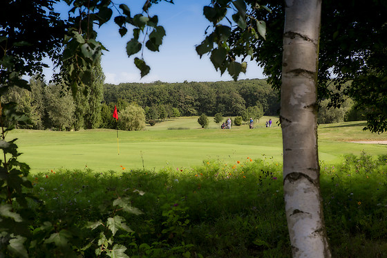 Ugolf Metz - photo 8