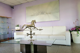 Hotel Antille