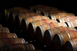 BODEGAS JAVIER SAN PEDRO ORTEGA