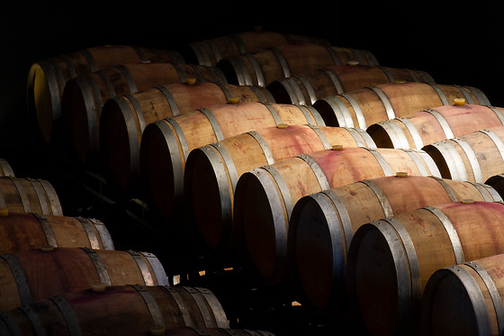 BODEGAS JAVIER SAN PEDRO ORTEGA - photo 3