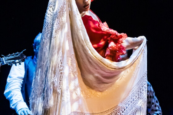 TEATRO FLAMENCO GRANADA - photo 4