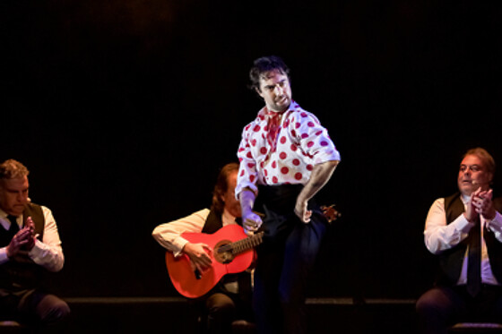 TEATRO FLAMENCO GRANADA - photo 5