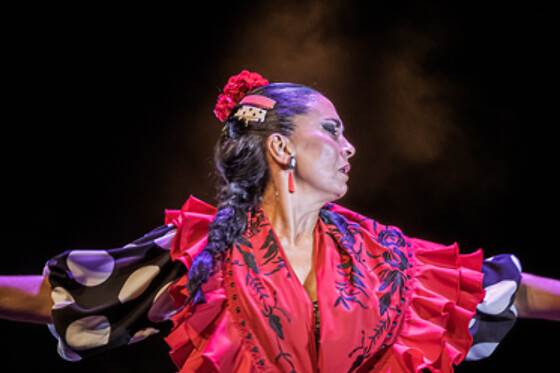 TEATRO FLAMENCO GRANADA - photo 8