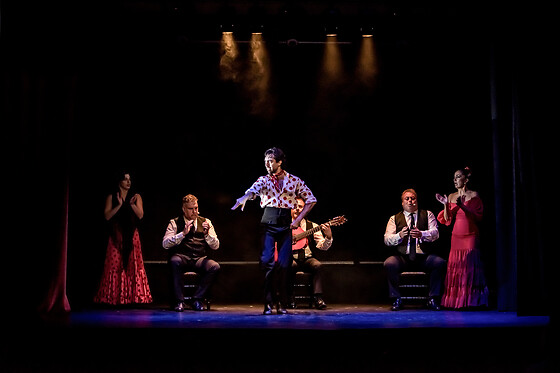 TEATRO FLAMENCO GRANADA - photo 2