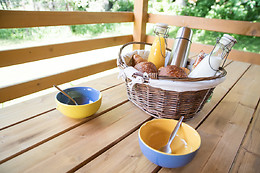 Les Cariamas
