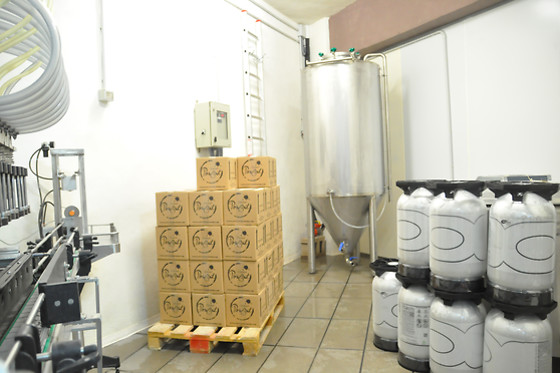 CERVESES PONENT - photo 4