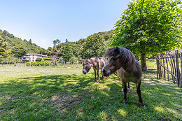 Ferme de Lancizolle